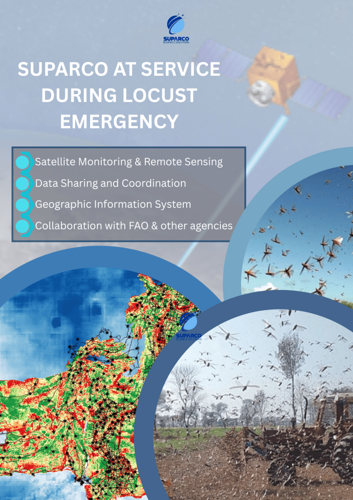 locusts invasion 2019