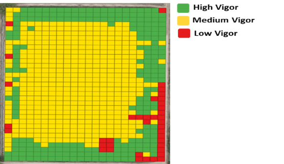 Crop vigor analysis for smart agriculture solutions