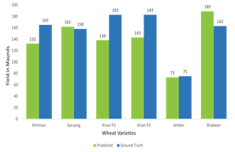 Yield estimation for smart farming